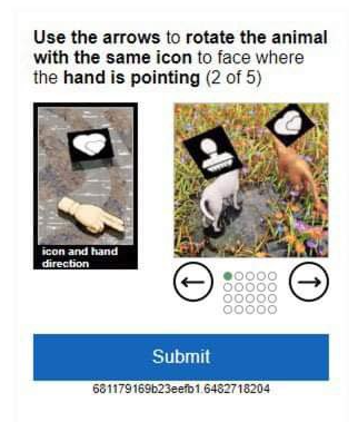 funcaptcha2.png