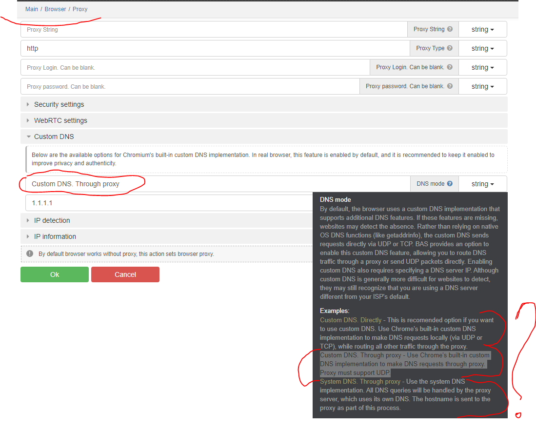 BAS proxy DNS settings - a question.PNG