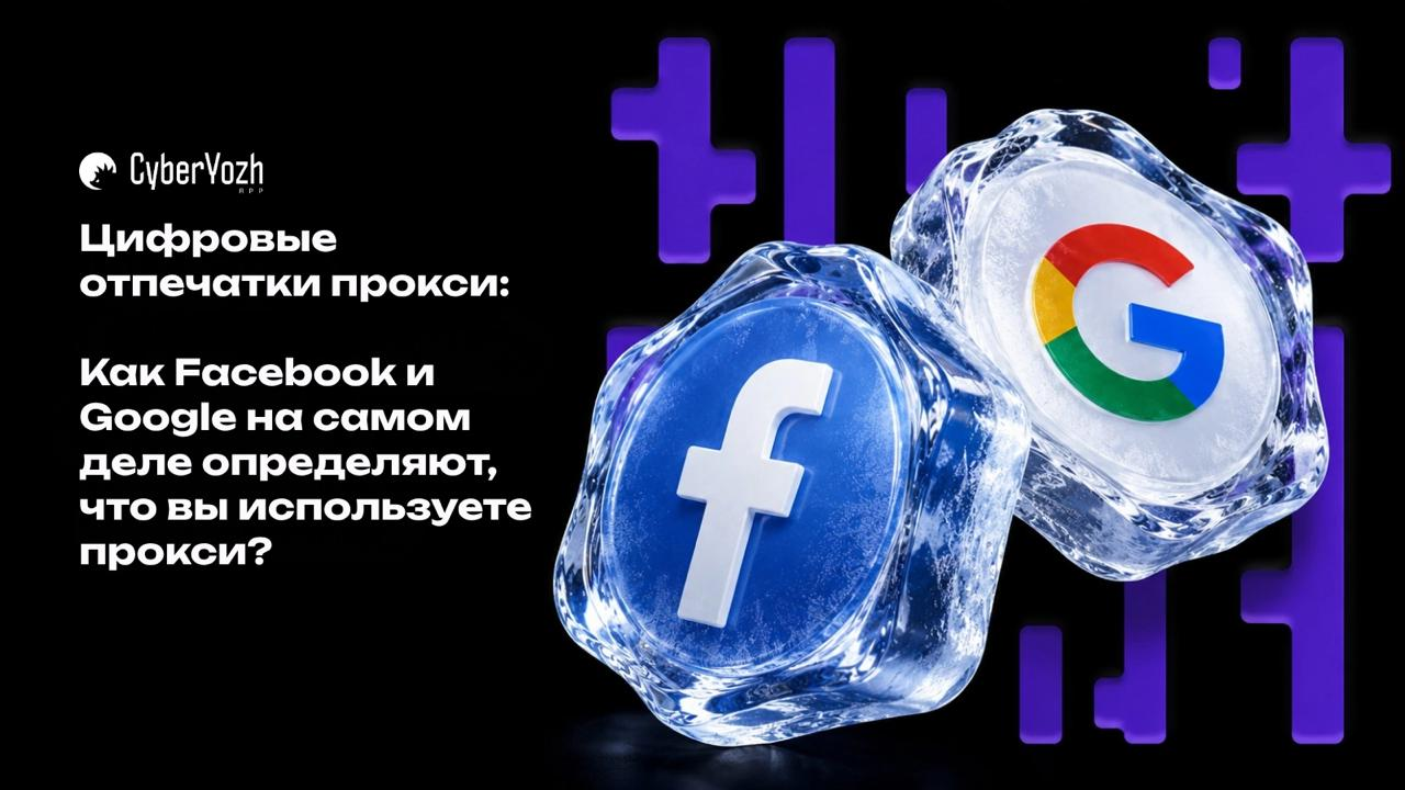 42422548-5d47-431f-b672-bafe931f3f1c-image.png