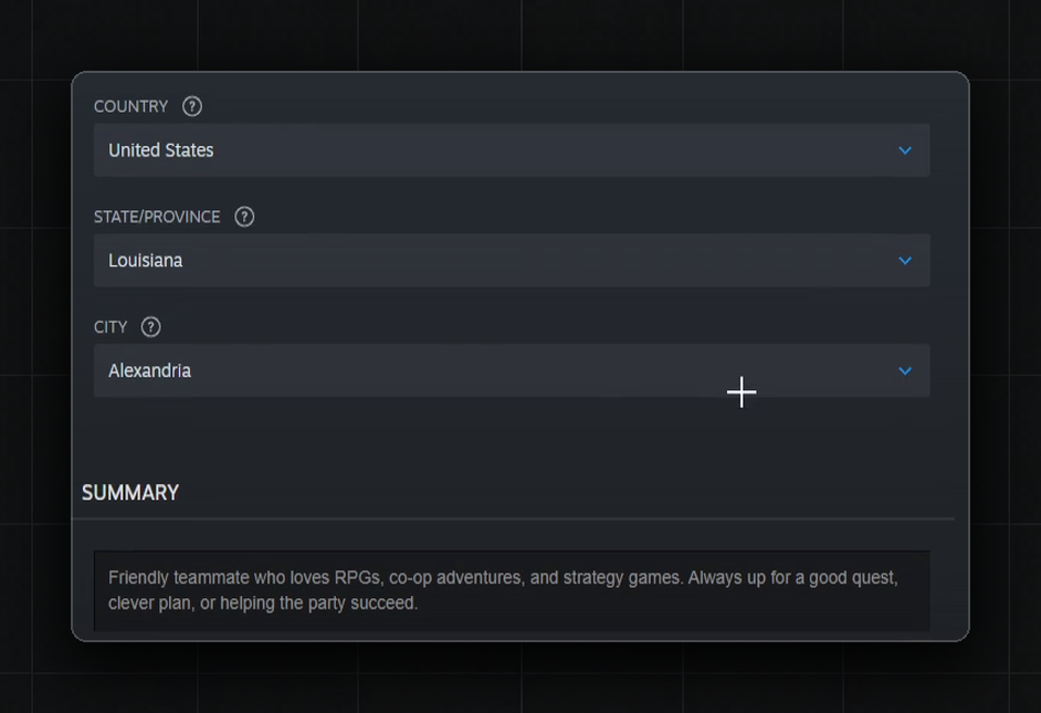 Profile after the run: I asked for the country, the agent added the region and city itself, the model's description below
